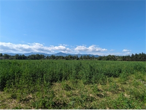 terrain agricole à la vente -   66200  ELNE, surface 69131 m2 vente terrain agricole - UBI426286786